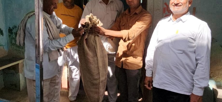 कोटपूतली: Badger and Python: शहर में चार घंटे दहशत में रहा पूरा परिवार तो रामसिंहपुरा गांव में खौफजदा रहे ग्रामीण, वनकर्मियों को एक जगह मिली कामयाबी तो दूसरी जगह हाथ नहीं लगा अजगर कोटपूतली: Badger and Python: शहर में चार घंटे दहशत में रहा पूरा परिवार तो रामसिंहपुरा गांव में खौफजदा रहे ग्रामीण, वनकर्मियों को एक जगह मिली कामयाबी तो दूसरी जगह हाथ नहीं लगा अजगर