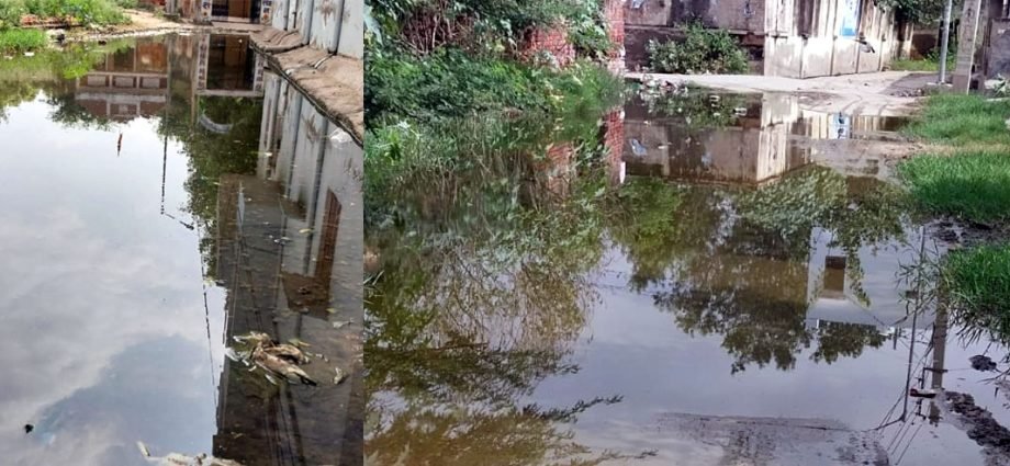 KOTPUTLI: कोटपूतली के इस वार्ड में सालों से नारकीय जीवन जीने को विवश रहवासी, गंदे पानी के भराव से बच्चे-बूढ़े सब परेशान, खूब लगाई गुहार, लेकिन जिम्मेदारों के कानों में जूं तक नहीं रेंगी, अब एक बार फिर एडीएम को सौंपा ज्ञापन KOTPUTLI: कोटपूतली के इस वार्ड में सालों से नारकीय जीवन जीने को विवश रहवासी, गंदे पानी के भराव से बच्चे-बूढ़े सब परेशान, खूब लगाई गुहार, लेकिन जिम्मेदारों के कानों में जूं तक नहीं रेंगी, अब एक बार फिर एडीएम को सौंपा ज्ञापन