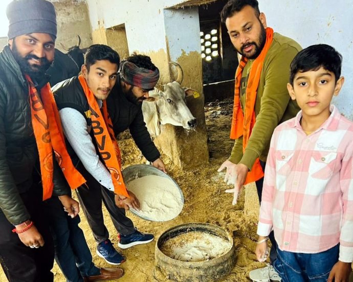 KOTPUTLI-BEHROR: एबीवीपी कार्यकर्ताओं ने की गौ सेवा KOTPUTLI-BEHROR: एबीवीपी कार्यकर्ताओं ने की गौ सेवा