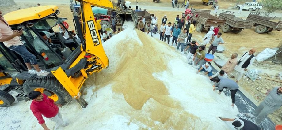 KOTPUTLI-BEHROR: थ्रेसर से पिसाई कर जेसीबी से मिलाया 350 क्विंटल चूरमा, कुल बनाई जा रही है 515 क्विंटल की महाप्रसादी KOTPUTLI-BEHROR: थ्रेसर से पिसाई कर जेसीबी से मिलाया 350 क्विंटल चूरमा, कुल बनाई जा रही है 515 क्विंटल की महाप्रसादी