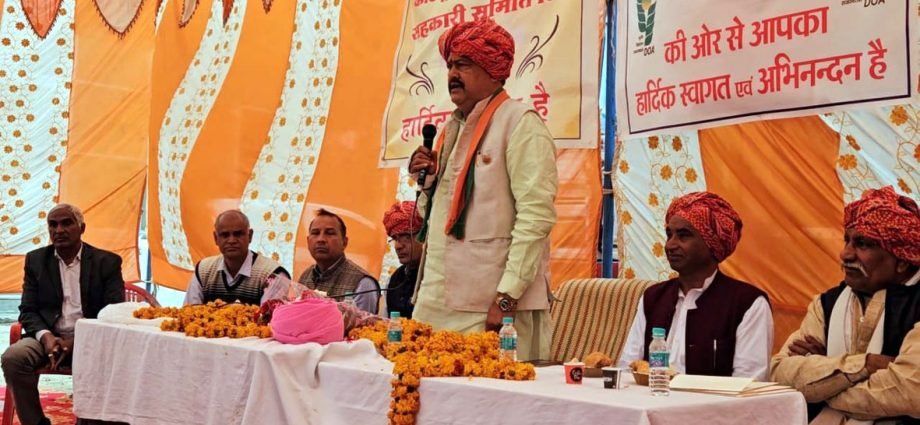 KOTPUTLI-BEHROR: खाद-बीज के लिए किसानों को नहीं होगी परेशानी: हंसराज पटेल KOTPUTLI-BEHROR: खाद-बीज के लिए किसानों को नहीं होगी परेशानी: हंसराज पटेल