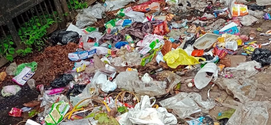 KOTPUTLI-BEHROR: वार्ड में गंदगी पसरी, गलियों में अंधेरा कायम KOTPUTLI-BEHROR: वार्ड में गंदगी पसरी, गलियों में अंधेरा कायम