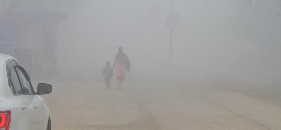 KOTPUTLI-BEHROR: घने कोहरे से जनजीवन प्रभावित, वाहन चालक परेशान KOTPUTLI-BEHROR: घने कोहरे से जनजीवन प्रभावित, वाहन चालक परेशान