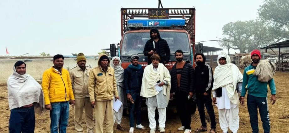 KOTPUTLI-BEHROR: नारेहड़ा में गौ सेवकों ने किया गौ तस्करी का भंडाफोड़ KOTPUTLI-BEHROR: नारेहड़ा में गौ सेवकों ने किया गौ तस्करी का भंडाफोड़