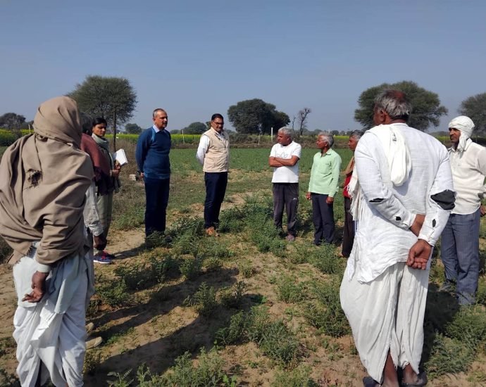 KOTPUTLI-BEHROR: चने की फसल पर असंस्थागत प्रशिक्षण दिया KOTPUTLI-BEHROR: चने की फसल पर असंस्थागत प्रशिक्षण दिया