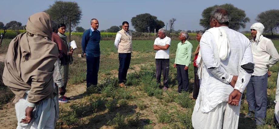 KOTPUTLI-BEHROR: चने की फसल पर असंस्थागत प्रशिक्षण दिया KOTPUTLI-BEHROR: चने की फसल पर असंस्थागत प्रशिक्षण दिया