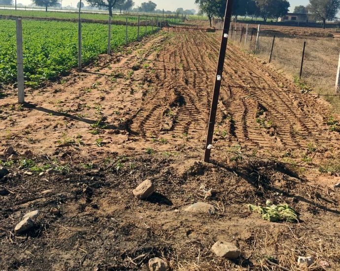 KOTPUTLI-BEHROR: मंदिर भूमि से जबरन रास्ता निकालने का आरोप KOTPUTLI-BEHROR: मंदिर भूमि से जबरन रास्ता निकालने का आरोप