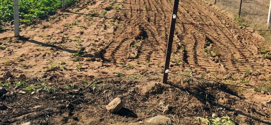 KOTPUTLI-BEHROR: मंदिर भूमि से जबरन रास्ता निकालने का आरोप KOTPUTLI-BEHROR: मंदिर भूमि से जबरन रास्ता निकालने का आरोप