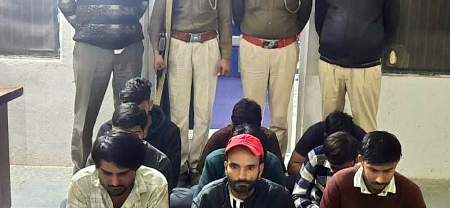 KOTPUTLI-BEHROR: अनेक होटलों और कैफे में दी औचक दबिश KOTPUTLI-BEHROR: अनेक होटलों और कैफे में दी औचक दबिश