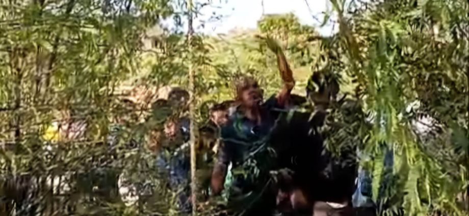 KOTPUTLI-BEHROR: करीब 55 फिट गहरे कुएं में गिरा 40 वर्षीय व्यक्ति, मौत KOTPUTLI-BEHROR: करीब 55 फिट गहरे कुएं में गिरा 40 वर्षीय व्यक्ति, मौत