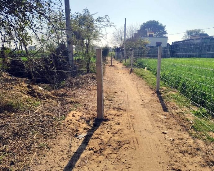 KOTPUTLI-BEHROR: रास्ते पर मौजूद अतिक्रमण हटवाने की मांग KOTPUTLI-BEHROR: रास्ते पर मौजूद अतिक्रमण हटवाने की मांग