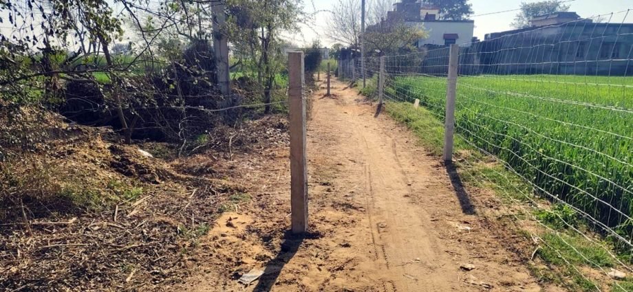 KOTPUTLI-BEHROR: रास्ते पर मौजूद अतिक्रमण हटवाने की मांग KOTPUTLI-BEHROR: रास्ते पर मौजूद अतिक्रमण हटवाने की मांग