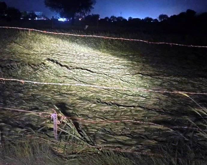 KOTPUTLI-BEHROR: मौसम की मार, किसानों की चिंता बढ़ी KOTPUTLI-BEHROR: मौसम की मार, किसानों की चिंता बढ़ी