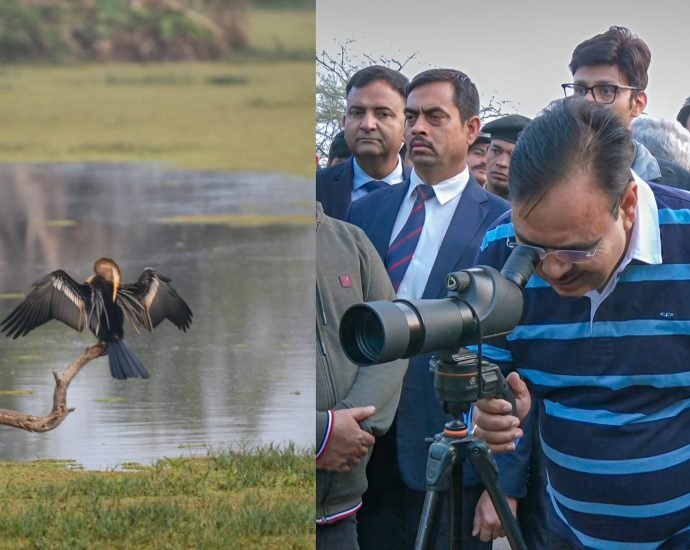 JAIPUR: मुख्यमंत्री भजनलाल शर्मा ने केवलादेव राष्ट्रीय उद्यान में किया भ्रमण JAIPUR: मुख्यमंत्री भजनलाल शर्मा ने केवलादेव राष्ट्रीय उद्यान में किया भ्रमण