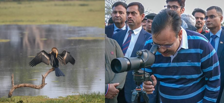 JAIPUR: मुख्यमंत्री भजनलाल शर्मा ने केवलादेव राष्ट्रीय उद्यान में किया भ्रमण JAIPUR: मुख्यमंत्री भजनलाल शर्मा ने केवलादेव राष्ट्रीय उद्यान में किया भ्रमण