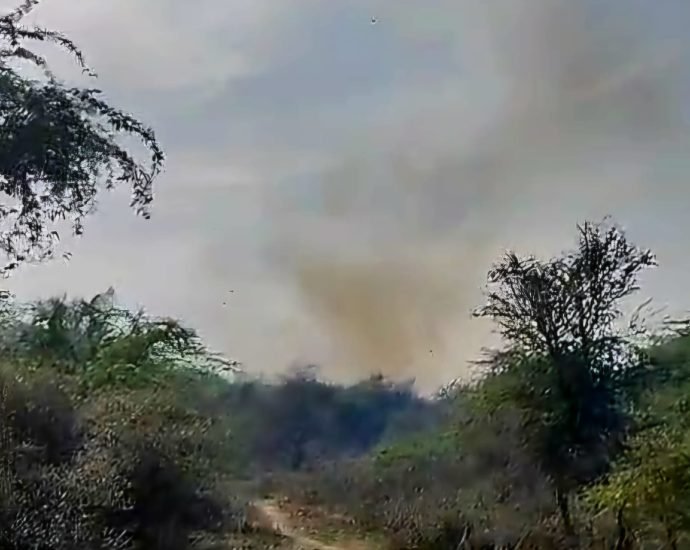 KOTPUTLI-BEHROR: जंगलों में आग, कड़ी मशक्कत के बाद काबू KOTPUTLI-BEHROR: जंगलों में आग, कड़ी मशक्कत के बाद काबू