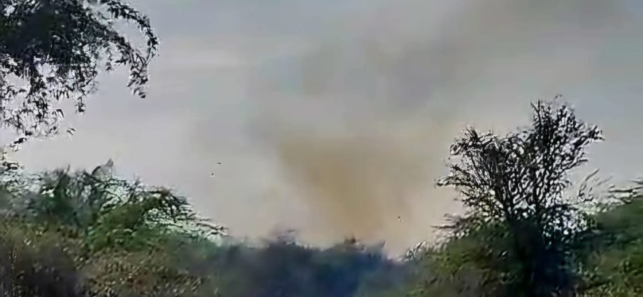 KOTPUTLI-BEHROR: जंगलों में आग, कड़ी मशक्कत के बाद काबू KOTPUTLI-BEHROR: जंगलों में आग, कड़ी मशक्कत के बाद काबू