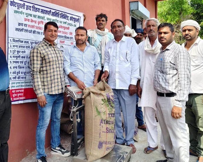 KOTPUTLI-BEHROR: जिले में समर्थन मूल्य पर सरसों-चने की खरीद शुरु KOTPUTLI-BEHROR: जिले में समर्थन मूल्य पर सरसों-चने की खरीद शुरु