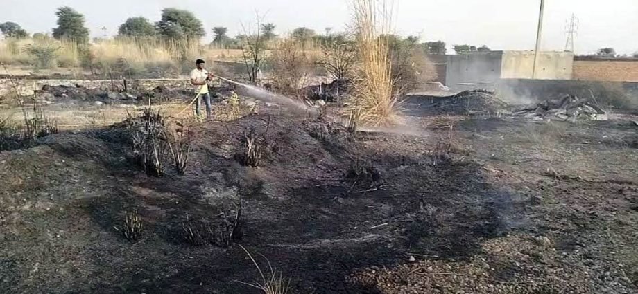 KOTPUTLI-BEHROR: आगजनी में दो भैंस झुलसी, कड़ब जलकर राख KOTPUTLI-BEHROR: आगजनी में दो भैंस झुलसी, कड़ब जलकर राख