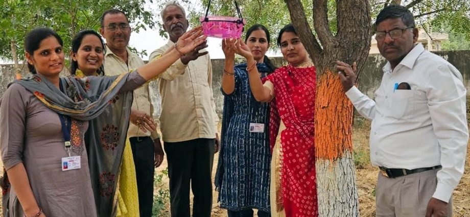 KOTPUTLI-BEHROR: स्कूल परिसर में लगाए दो दर्जन परिंडे KOTPUTLI-BEHROR: स्कूल परिसर में लगाए दो दर्जन परिंडे