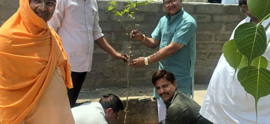 KOTPUTLI-BEHROR: अक्षय तृतीया पर बढ़ाया हरियाली की ओर कदम