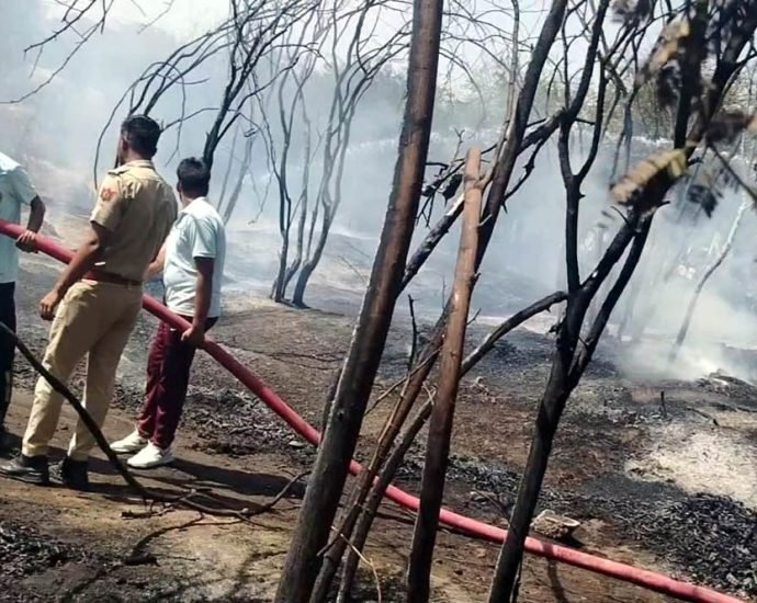 KOTPUTLI-BEHROR: जोहड़ी के पास लगी आग, सूझबूझ से टला बड़ा हादसा KOTPUTLI-BEHROR: जोहड़ी के पास लगी आग, सूझबूझ से टला बड़ा हादसा