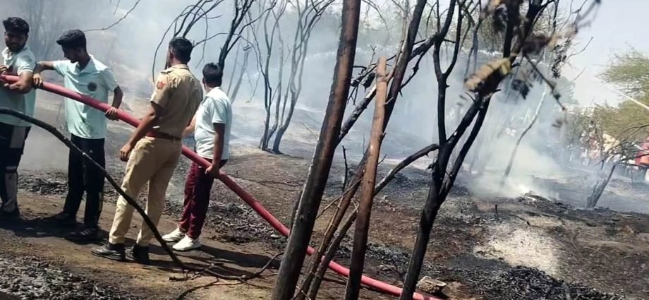 KOTPUTLI-BEHROR: जोहड़ी के पास लगी आग, सूझबूझ से टला बड़ा हादसा KOTPUTLI-BEHROR: जोहड़ी के पास लगी आग, सूझबूझ से टला बड़ा हादसा