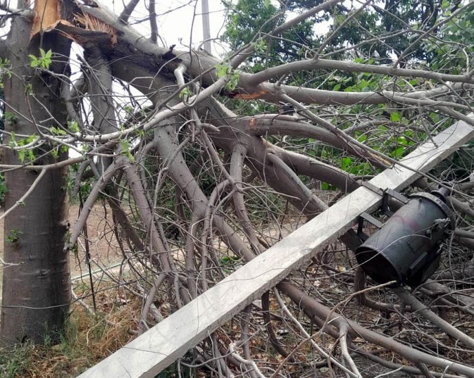 KOTPUTLI-BEHROR: तेज अंधड़ ने ढहाया विद्युत तंत्र, लाखों का नुकसान