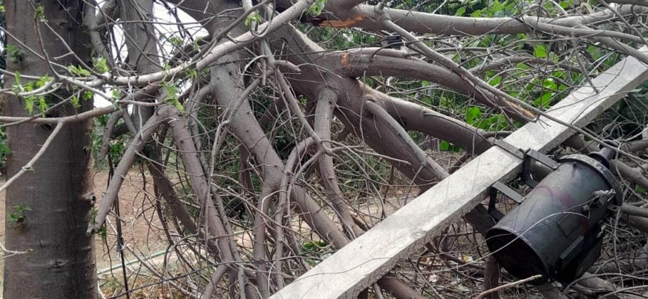 KOTPUTLI-BEHROR: तेज अंधड़ ने ढहाया विद्युत तंत्र, लाखों का नुकसान KOTPUTLI-BEHROR: तेज अंधड़ ने ढहाया विद्युत तंत्र, लाखों का नुकसान