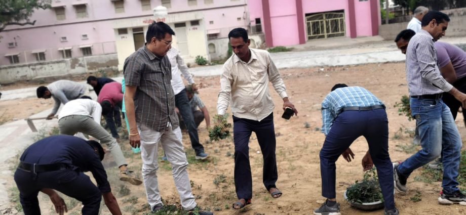 KOTPUTLI-BEHROR: कलेक्ट्रेट परिसर में कार्मिकों का श्रमदान अभियान KOTPUTLI-BEHROR: कलेक्ट्रेट परिसर में कार्मिकों का श्रमदान अभियान