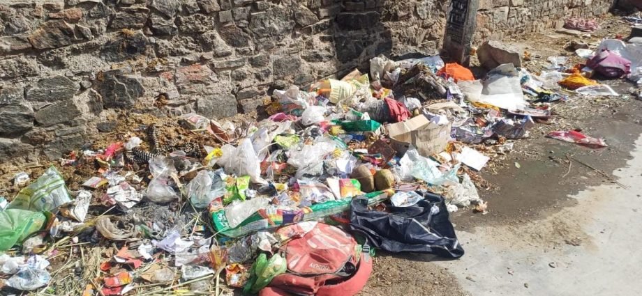 KOTPUTLI-BEHROR: जागरुकता बनाम जमीनी हकीकत: कोटपूतली में लापरवाही ने फेल किया डेंगू दिवस अभियान KOTPUTLI-BEHROR: जागरुकता बनाम जमीनी हकीकत: कोटपूतली में लापरवाही ने फेल किया डेंगू दिवस अभियान