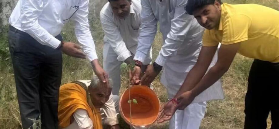*गौ सेवा व पौधारोपण कर धूमधाम से मनाया गृह राज्यमंत्री का जन्मदिन*